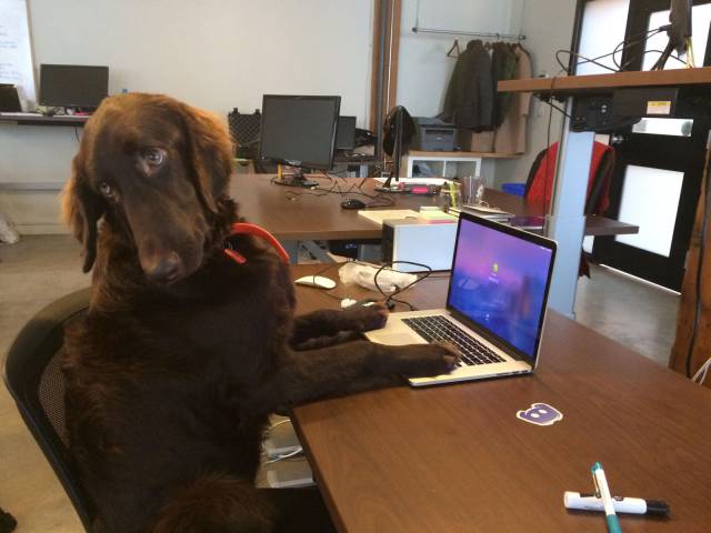 daily picdump weekend edition 58 pics 5.html - 58 HD Photos | Premium Gallery 2016