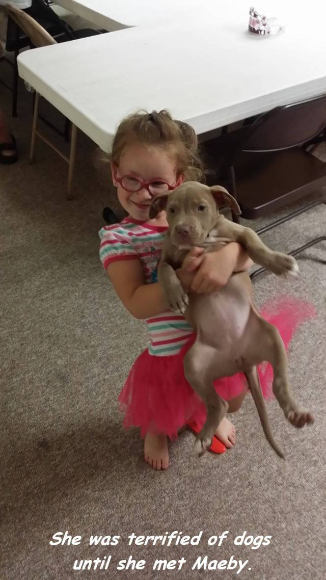 daily picdump weekend edition 58 pics 5.html - 58 HD Photos | Premium Gallery 2016