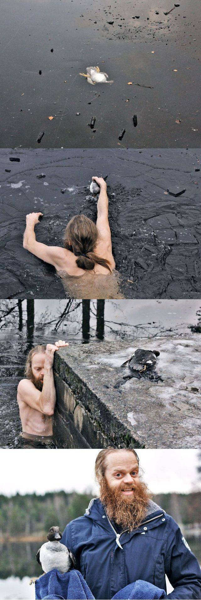 daily picdump weekend edition 58 pics 5.html - 58 HD Photos | Premium Gallery 2016