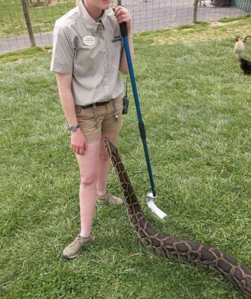 daily picdump 100 pics 32.html - 100 HD Photos | Premium Gallery 2016