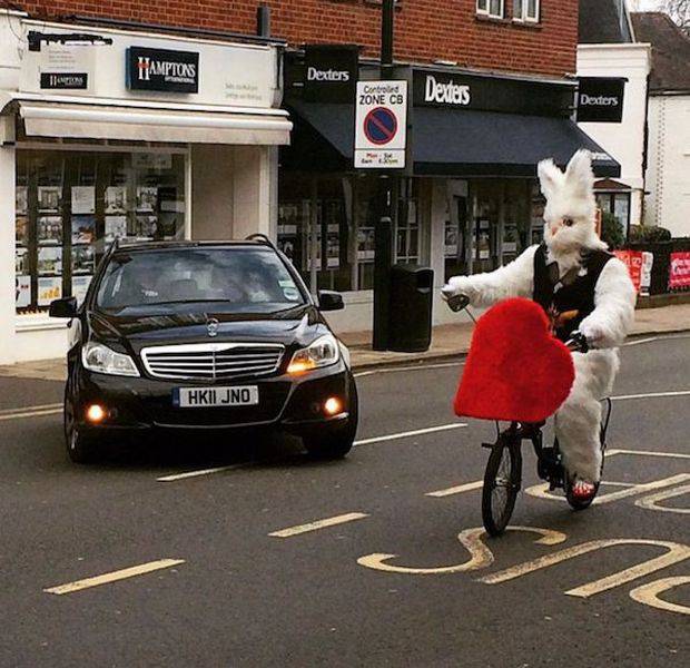 daily picdump 100 pics 32.html - 100 HD Photos | Premium Gallery 2016