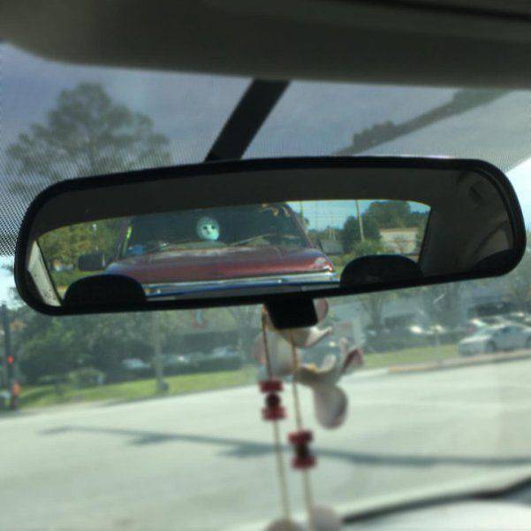 daily picdump 100 pics 32.html - 100 HD Photos | Premium Gallery 2016