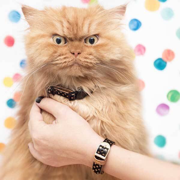 daily picdump 100 pics 32.html - 100 HD Photos | Premium Gallery 2016