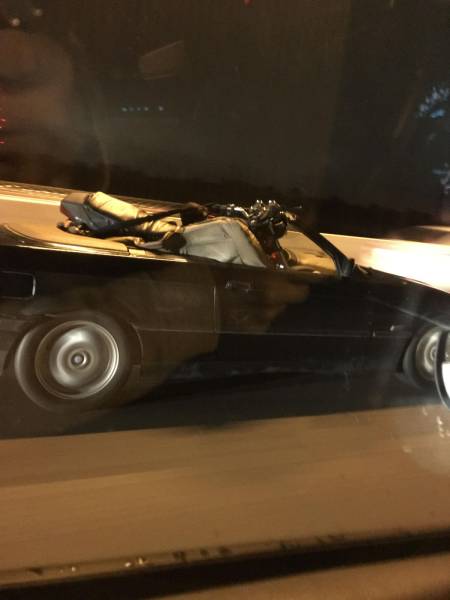 daily picdump 100 pics 32.html - 100 HD Photos | Premium Gallery 2016