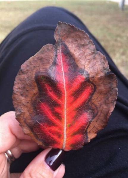 daily picdump 100 pics 32.html - 100 HD Photos | Premium Gallery 2016