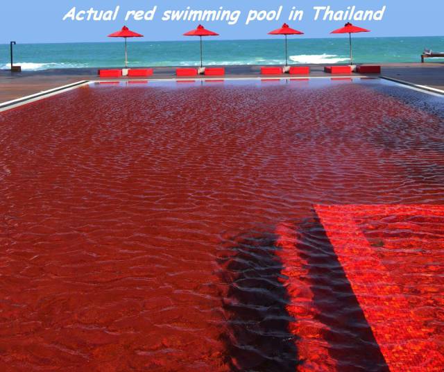 daily picdump 100 pics 32.html - 100 HD Photos | Premium Gallery 2016