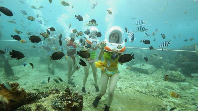 daily picdump 100 pics 32.html - 100 HD Photos | Premium Gallery 2016