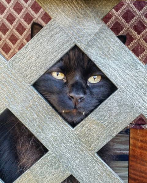 daily picdump 100 pics 32.html - 100 HD Photos | Premium Gallery 2016