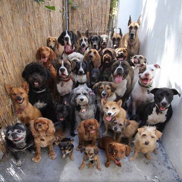 daily picdump 100 pics 32.html - 100 HD Photos | Premium Gallery 2016