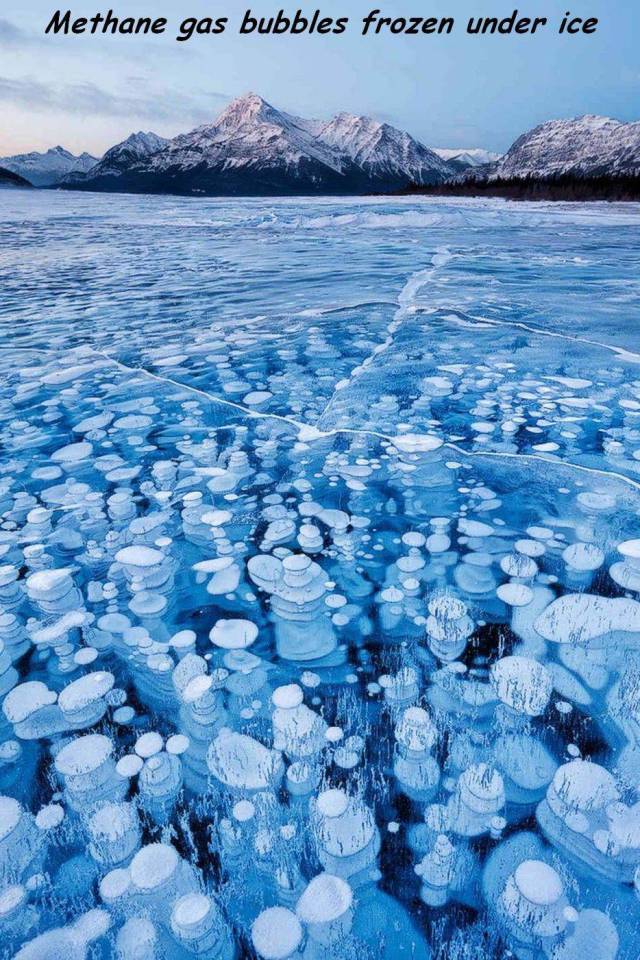 daily picdump 100 pics 32.html - 100 HD Photos | Premium Gallery 2016