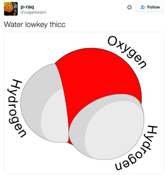 What Has Been Seen Cannot Be Unseen