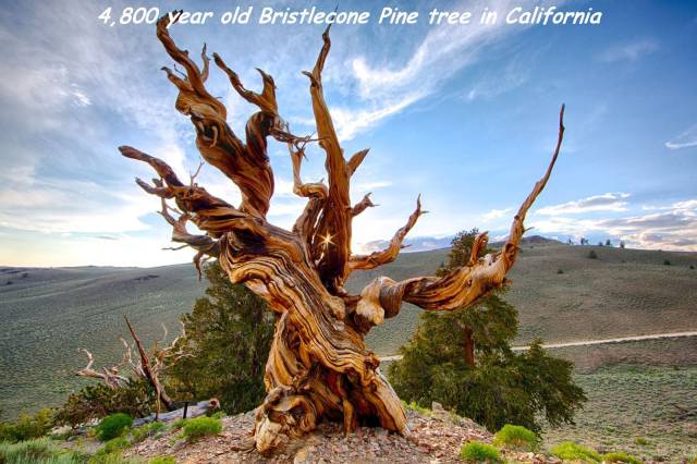 daily picdump 88 pics 30.html - 88 HD Photos | Premium Gallery 2016