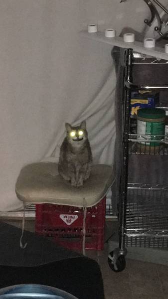 daily picdump 88 pics 30.html - 88 HD Photos | Premium Gallery 2016