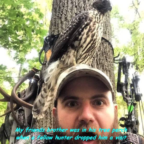 daily picdump 88 pics 30.html - 88 HD Photos | Premium Gallery 2016