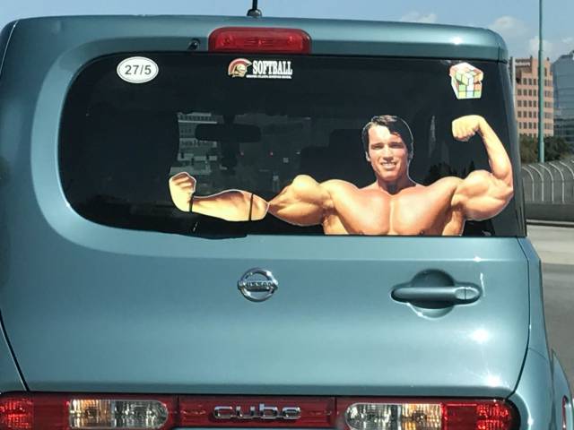 daily picdump 88 pics 30.html - 88 HD Photos | Premium Gallery 2016