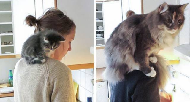 daily picdump 88 pics 30.html - 88 HD Photos | Premium Gallery 2016