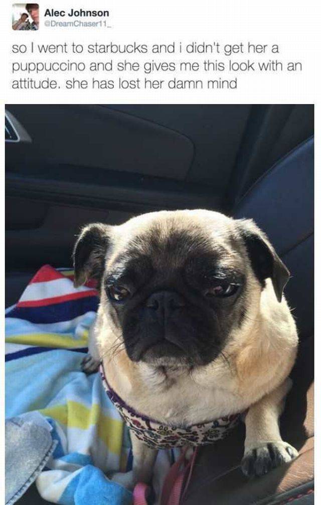 daily picdump 88 pics 30.html - 88 HD Photos | Premium Gallery 2016