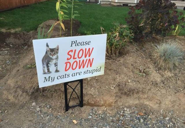 morning picdump 50 pics 3.html - 50 HD Photos | Premium Gallery 2016