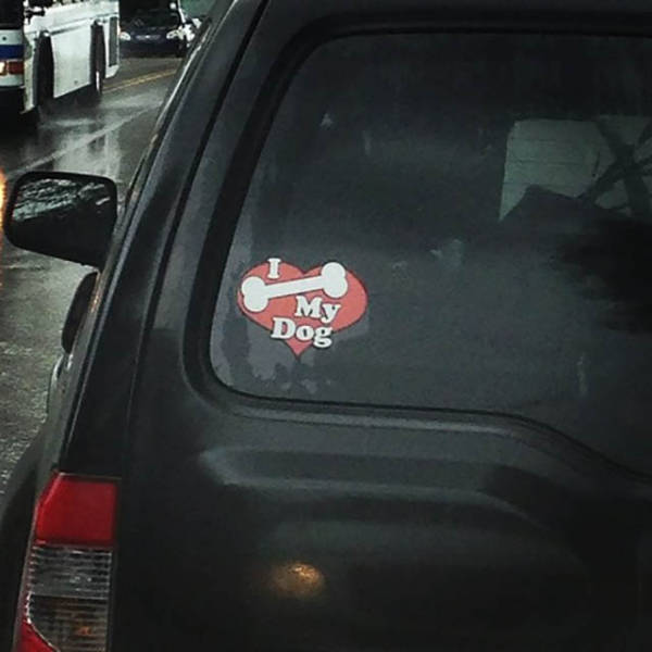 morning picdump 50 pics 3.html - 50 HD Photos | Premium Gallery 2016