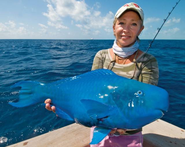 morning picdump 50 pics 2.html - 50 HD Photos | Premium Gallery 2016