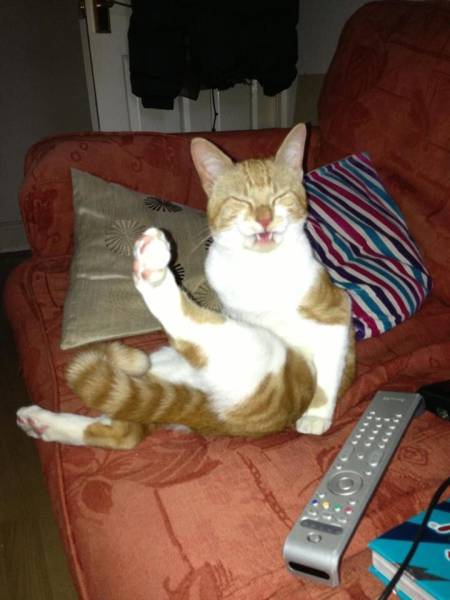 morning picdump 50 pics 2.html - 50 HD Photos | Premium Gallery 2016