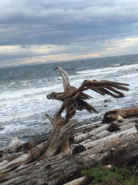 morning picdump 50 pics 2.html - 50 HD Photos | Premium Gallery 2016