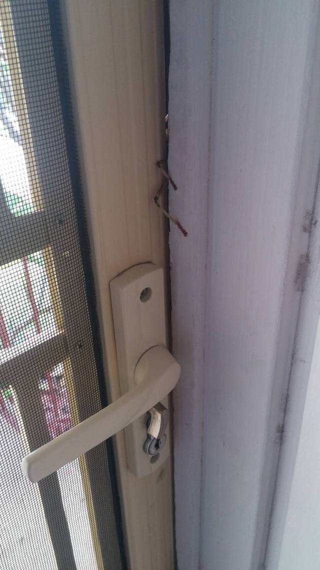 morning picdump 50 pics 2.html - 50 HD Photos | Premium Gallery 2016