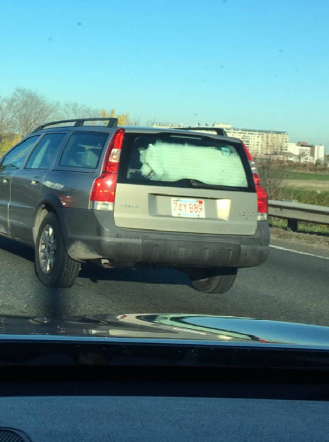 morning picdump 50 pics 2.html - 50 HD Photos | Premium Gallery 2016