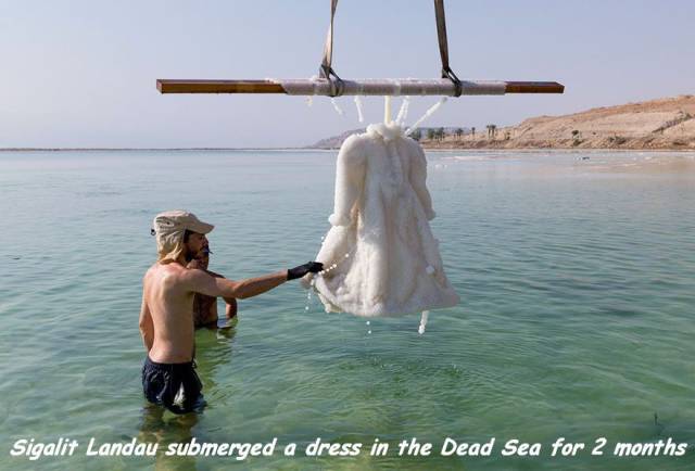 daily picdump 99 pics 9.html - 99 HD Photos | Premium Gallery 2016