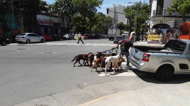 daily picdump 99 pics 9.html - 99 HD Photos | Premium Gallery 2016