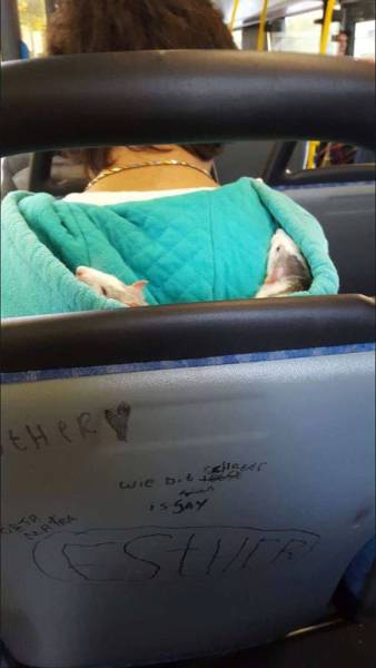 daily picdump 99 pics 9.html - 99 HD Photos | Premium Gallery 2016