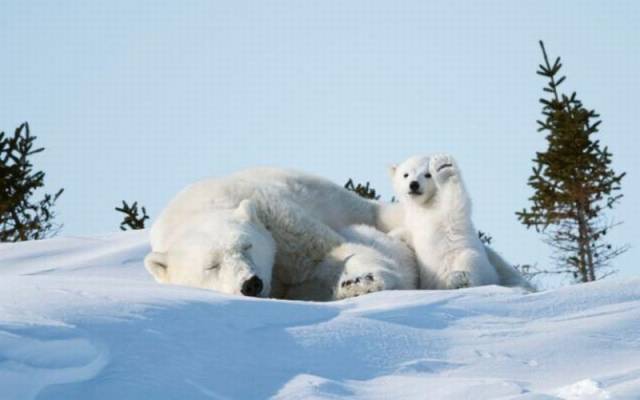 daily picdump 99 pics 9.html - 99 HD Photos | Premium Gallery 2016