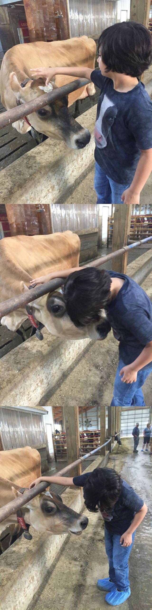 daily picdump 99 pics 9.html - 99 HD Photos | Premium Gallery 2016