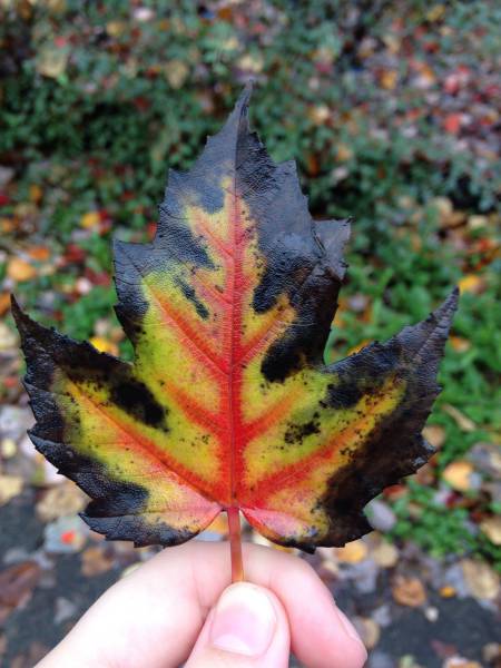 morning picdump 51 pics 21.html - 51 HD Photos | Premium Gallery 2016