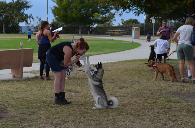 morning picdump 51 pics 21.html - 51 HD Photos | Premium Gallery 2016