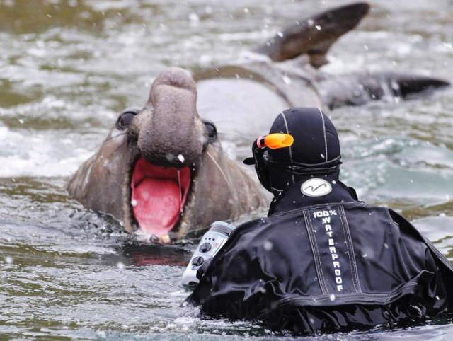 morning picdump 51 pics 21.html - 51 HD Photos | Premium Gallery 2016