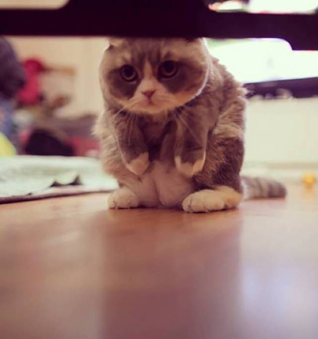 morning picdump 51 pics 21.html - 51 HD Photos | Premium Gallery 2016