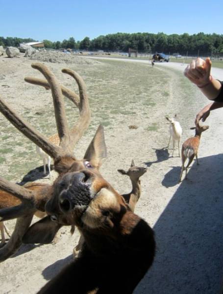 morning picdump 51 pics 21.html - 51 HD Photos | Premium Gallery 2016