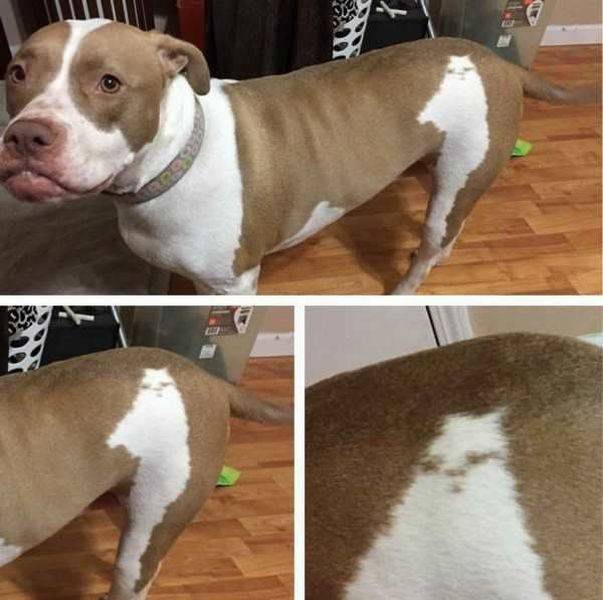 Daily Picdump
