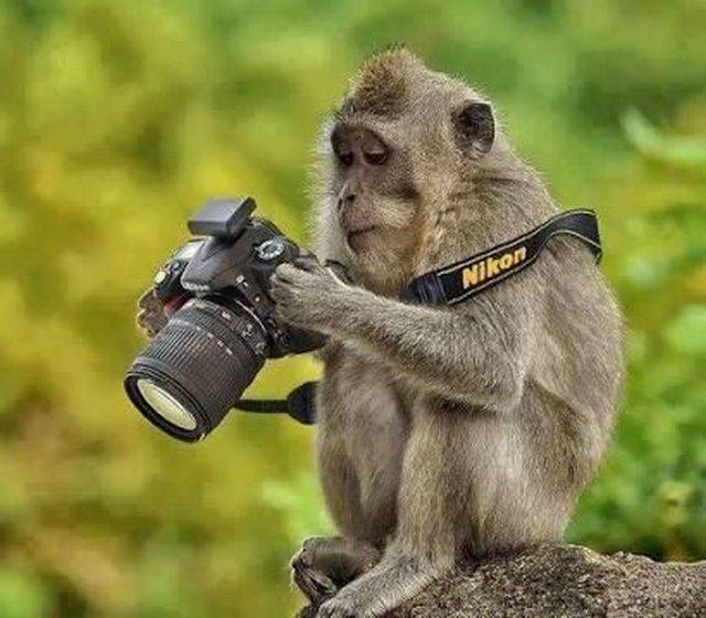 Daily Picdump