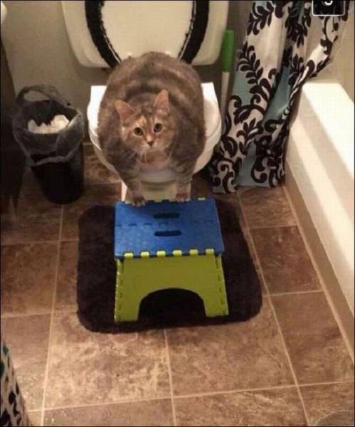 Daily Picdump