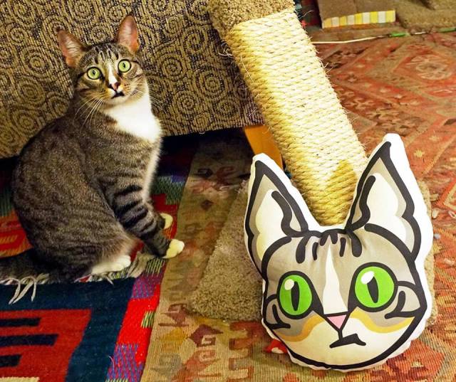 Daily Picdump