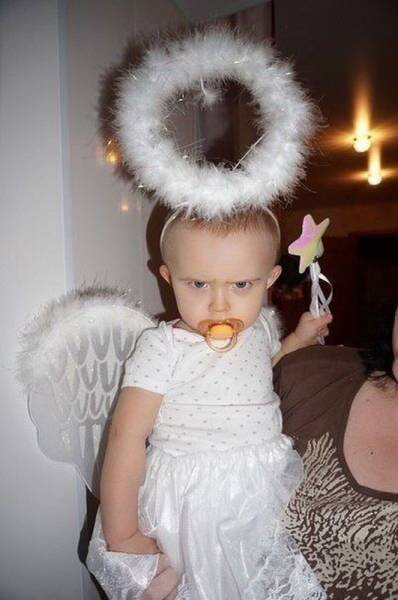 Daily Picdump