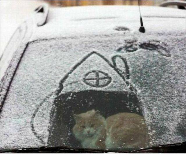 Daily Picdump