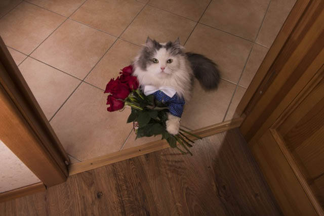 Morning Picdump
