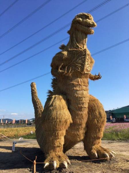 Morning Picdump