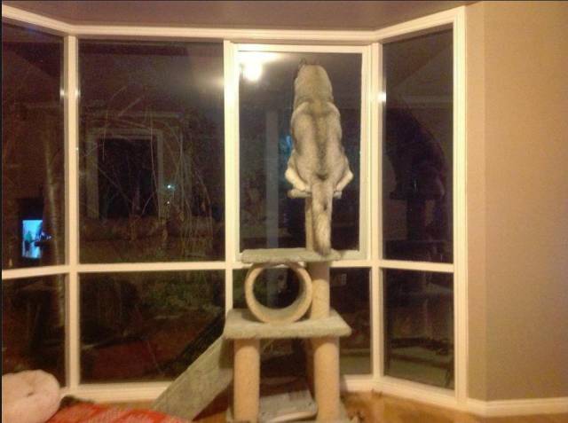 morning picdump 50 pics 1.html - 50 HD Photos | Premium Gallery 2016