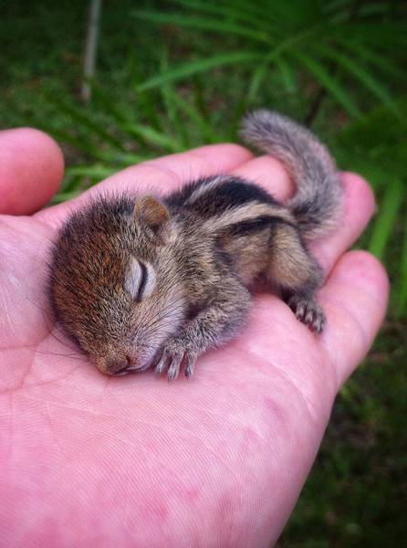 morning picdump 50 pics 1.html - 50 HD Photos | Premium Gallery 2016