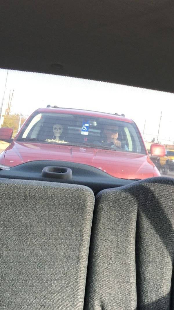 Morning Picdump