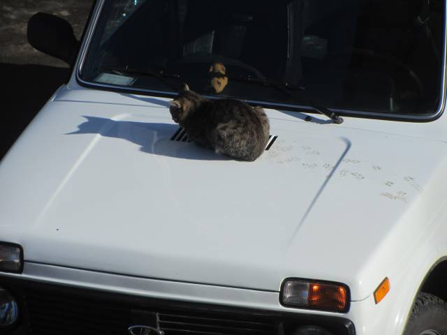 Daily Picdump [WEEKEND EDITION]